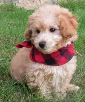 processed/63e3658e-5479-4901-bd30-ce168cc22abd/facility/a356f133-9053-44c7-add8-f1fca4f88e04