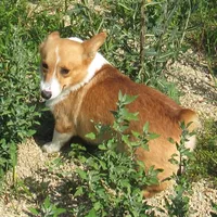 processed/63e3658e-5479-4901-bd30-ce168cc22abd/facility/be7f46f4-5f70-4bcf-8bf4-40346c2e8ac0