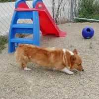 processed/63e3658e-5479-4901-bd30-ce168cc22abd/facility/ca95c889-d285-4e24-b703-81bf6da68b5c