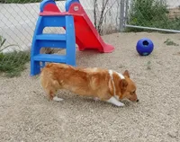 processed/63e3658e-5479-4901-bd30-ce168cc22abd/facility/ca95c889-d285-4e24-b703-81bf6da68b5c