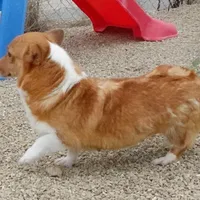 processed/63e3658e-5479-4901-bd30-ce168cc22abd/facility/e7d00d71-90fb-49d4-abb4-26451329a377