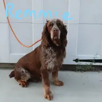 processed/63e3658e-5479-4901-bd30-ce168cc22abd/facility/ea2fca65-8abc-4c89-9183-c2ff2d9157fb