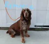 processed/63e3658e-5479-4901-bd30-ce168cc22abd/facility/ea2fca65-8abc-4c89-9183-c2ff2d9157fb