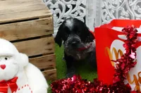 processed/63e3658e-5479-4901-bd30-ce168cc22abd/listing/1a9cdc1a-5b4b-43ac-b6c4-742387572a0e/36b54368-f423-4a15-88e1-0ebfbcb83cd1