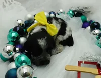 processed/63e3658e-5479-4901-bd30-ce168cc22abd/listing/1a9cdc1a-5b4b-43ac-b6c4-742387572a0e/467ac9a6-8899-4ba0-b948-ea24a2905d4f