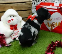 processed/63e3658e-5479-4901-bd30-ce168cc22abd/listing/1a9cdc1a-5b4b-43ac-b6c4-742387572a0e/82543a2b-c566-4584-a673-1d755a7346e3