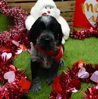 processed/63e3658e-5479-4901-bd30-ce168cc22abd/listing/1a9cdc1a-5b4b-43ac-b6c4-742387572a0e/86f37d3b-b565-42b8-8d29-5b62624bb2bb