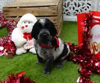 processed/63e3658e-5479-4901-bd30-ce168cc22abd/listing/1a9cdc1a-5b4b-43ac-b6c4-742387572a0e/a3d7fae8-cf4a-4587-899f-5c7049282e62