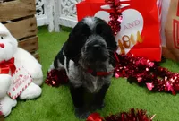 processed/63e3658e-5479-4901-bd30-ce168cc22abd/listing/1a9cdc1a-5b4b-43ac-b6c4-742387572a0e/abd21b60-99f4-425a-b11e-31c7cf7402ea