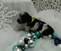 processed/63e3658e-5479-4901-bd30-ce168cc22abd/listing/1a9cdc1a-5b4b-43ac-b6c4-742387572a0e/ce4259e9-6864-4058-9370-24d3d799db1f