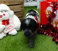 processed/63e3658e-5479-4901-bd30-ce168cc22abd/listing/1a9cdc1a-5b4b-43ac-b6c4-742387572a0e/ec7ad380-3e9c-4f50-835e-fd10abb9a225