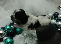 processed/63e3658e-5479-4901-bd30-ce168cc22abd/listing/ad828791-f5cf-4445-9f12-3e3a0ef21466/08c1cf16-4ca0-4fd0-aff5-f060f32e739a