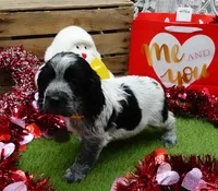 processed/63e3658e-5479-4901-bd30-ce168cc22abd/listing/ad828791-f5cf-4445-9f12-3e3a0ef21466/3b1f83cf-3611-4172-bcd3-b65e5db87e7a