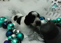 processed/63e3658e-5479-4901-bd30-ce168cc22abd/listing/ad828791-f5cf-4445-9f12-3e3a0ef21466/67bc825d-f2c8-4c76-ba8a-bdedff61488c