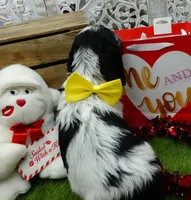 processed/63e3658e-5479-4901-bd30-ce168cc22abd/listing/ad828791-f5cf-4445-9f12-3e3a0ef21466/72d39c1f-0468-466b-8725-383c0c95e9d7