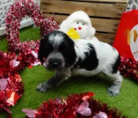 processed/63e3658e-5479-4901-bd30-ce168cc22abd/listing/ad828791-f5cf-4445-9f12-3e3a0ef21466/73f0fc60-9f41-46dd-b6c9-7076875733b3