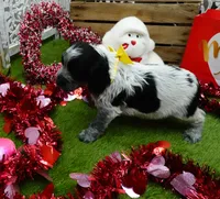 processed/63e3658e-5479-4901-bd30-ce168cc22abd/listing/ad828791-f5cf-4445-9f12-3e3a0ef21466/9acbb304-8c95-4c23-b733-dfbd465c9df6