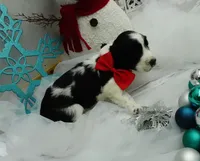 processed/63e3658e-5479-4901-bd30-ce168cc22abd/listing/ed58cb82-f0ae-400d-9051-8848a92cb7f3/2c27ad33-6742-4061-bb9e-826170c1570d