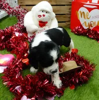 processed/63e3658e-5479-4901-bd30-ce168cc22abd/listing/ed58cb82-f0ae-400d-9051-8848a92cb7f3/a5c57747-b920-4a3d-844d-d85e765fe4e1