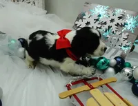 processed/63e3658e-5479-4901-bd30-ce168cc22abd/listing/ed58cb82-f0ae-400d-9051-8848a92cb7f3/b285382d-f3a0-482b-b470-11ed36b4f7ef