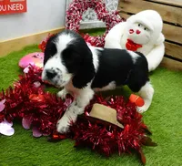 processed/63e3658e-5479-4901-bd30-ce168cc22abd/listing/ed58cb82-f0ae-400d-9051-8848a92cb7f3/c0ebfa0d-de8e-4445-aa5c-f3aed31f80d4