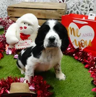 processed/63e3658e-5479-4901-bd30-ce168cc22abd/listing/ed58cb82-f0ae-400d-9051-8848a92cb7f3/f54947f9-3c94-4a3f-8523-b3c7c92ac7f6