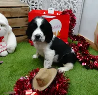 processed/63e3658e-5479-4901-bd30-ce168cc22abd/listing/ed58cb82-f0ae-400d-9051-8848a92cb7f3/f92f0d4a-d136-494a-80a6-ab6157824920