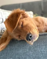 processed/63e5ff26-d5f8-4f99-86c2-5d44add2fc62/facility/1c506033-ebd6-4f72-9296-68ff4962d7cf