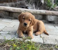 processed/63e5ff26-d5f8-4f99-86c2-5d44add2fc62/facility/37254735-35a5-4816-bfab-2195b3b0d64e