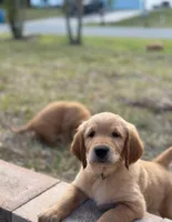 processed/63e5ff26-d5f8-4f99-86c2-5d44add2fc62/facility/ec020970-fd64-4acd-9952-8c4e2212b063