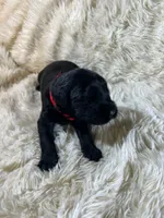 processed/63f2e23b-a7e5-49ad-965b-71b78ccc5b0d/listing/2aa84847-44e4-4df8-9273-3372455f93cf/eebdd6a8-64a7-40b4-9dfe-eea0ef8b17a4