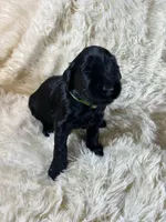 processed/63f2e23b-a7e5-49ad-965b-71b78ccc5b0d/listing/5dded5f2-a9ff-4744-91f8-1318af03c7a5/02a26649-4dfd-4d25-86c4-bacd2eea43de