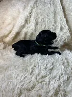 processed/63f2e23b-a7e5-49ad-965b-71b78ccc5b0d/listing/5dded5f2-a9ff-4744-91f8-1318af03c7a5/6c04e220-b44b-400c-a6e8-7807a9952f12