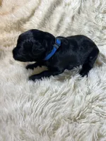 processed/63f2e23b-a7e5-49ad-965b-71b78ccc5b0d/listing/67c5fcf1-bf19-4d38-8866-a659631cb54d/6740e519-b15a-49d7-a914-df33b496aa07