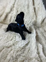 processed/63f2e23b-a7e5-49ad-965b-71b78ccc5b0d/listing/67c5fcf1-bf19-4d38-8866-a659631cb54d/9fc8147f-d27f-4d10-9f37-7ed1eebc414e