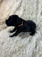 processed/63f2e23b-a7e5-49ad-965b-71b78ccc5b0d/listing/a0866159-3fd9-4208-989f-f061480911a4/68b944f0-b1cc-4c40-bab2-0ef101fe087c