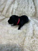 processed/63f2e23b-a7e5-49ad-965b-71b78ccc5b0d/listing/a8062908-db25-4715-bd3c-c00a7f4d10e8/9594d4ed-0ca5-476e-ac22-30b440e2ce18