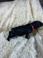 processed/63f2e23b-a7e5-49ad-965b-71b78ccc5b0d/listing/a8062908-db25-4715-bd3c-c00a7f4d10e8/bd53f042-66f6-4d49-b0e0-58fb394b0c18