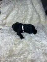 processed/63f2e23b-a7e5-49ad-965b-71b78ccc5b0d/listing/b532677c-2325-4190-8b6f-fe62811ac1c0/0b5ad6ec-097c-4551-a249-7dcf38410762