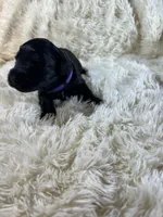 processed/63f2e23b-a7e5-49ad-965b-71b78ccc5b0d/listing/caa85934-a7d7-4896-91f4-1efb524c06bd/1788f78d-7eb1-499a-b41f-bf4c18fb74ef