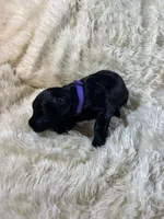 processed/63f2e23b-a7e5-49ad-965b-71b78ccc5b0d/listing/caa85934-a7d7-4896-91f4-1efb524c06bd/d9764635-144a-4181-b2a7-3de3783de4e0