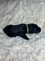 processed/63f2e23b-a7e5-49ad-965b-71b78ccc5b0d/listing/e111f60e-51be-4c93-8605-3e92e02a3518/af54adbe-9405-4ae0-bc12-8147329b214c