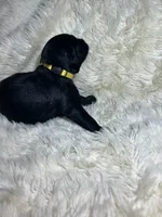 processed/63f2e23b-a7e5-49ad-965b-71b78ccc5b0d/listing/e111f60e-51be-4c93-8605-3e92e02a3518/e385d096-47d5-4615-ad9f-d9dba85a6599