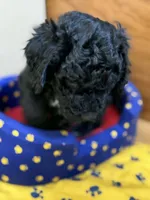 processed/63f31034-95a7-49aa-908e-6b2ce0b370e0/listing/a2bd0b8f-237b-4dc7-a17a-4e8a18c3da57/17d24528-fa99-412e-b073-683c0f8dcca9