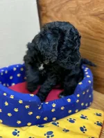 processed/63f31034-95a7-49aa-908e-6b2ce0b370e0/listing/a2bd0b8f-237b-4dc7-a17a-4e8a18c3da57/55505fde-701a-4150-b272-4120eb247031