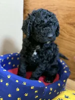 processed/63f31034-95a7-49aa-908e-6b2ce0b370e0/listing/a2bd0b8f-237b-4dc7-a17a-4e8a18c3da57/a313be80-abe3-49d2-867c-76985406f02e