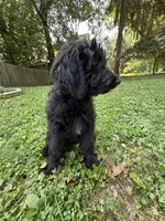 processed/63f31034-95a7-49aa-908e-6b2ce0b370e0/listing/eb50494f-1e64-4119-8431-426d51165bed/3a4e50c9-16fd-420a-8010-77e05778abae