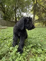 processed/63f31034-95a7-49aa-908e-6b2ce0b370e0/listing/eb50494f-1e64-4119-8431-426d51165bed/6caf522c-c426-426d-8582-b5191e96b4f2