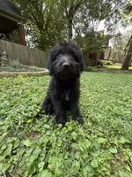 processed/63f31034-95a7-49aa-908e-6b2ce0b370e0/listing/eb50494f-1e64-4119-8431-426d51165bed/7e9c584a-c747-4bd0-bfda-0c792165d158