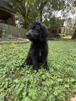 processed/63f31034-95a7-49aa-908e-6b2ce0b370e0/listing/eb50494f-1e64-4119-8431-426d51165bed/daf372d5-7083-4844-963f-7a13f7726d16